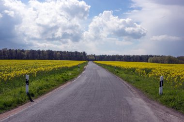 Tecavüz alanları arasındaki alan yolu
