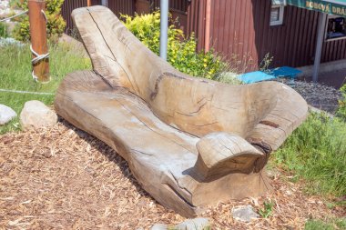 Piknik yeri ile ahşap Bank