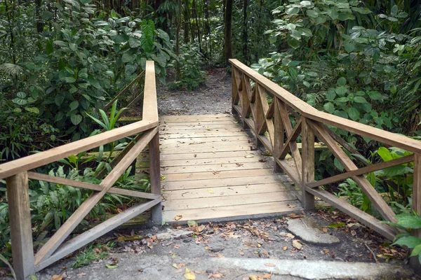 Trä gångväg i regnskogen i Dominica — Stockfoto