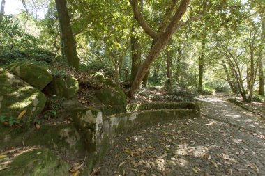 Beton moss ile yapılan tezgah