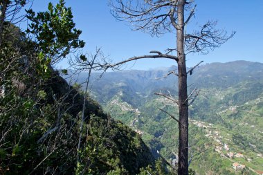Madeira dağlarının görünümü