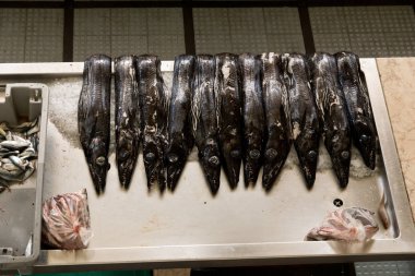 Siyah scabbardfish - Aphanopus carbo - balık pazarı Funchal