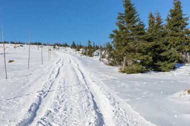 Boş kar kış manzara dev dağlarda yolda kapalı