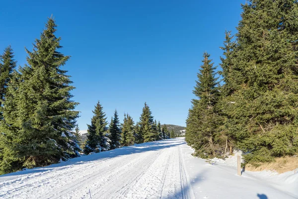 Empty snow covered road in winter landscape in the Giant mountains — Stock Photo, Image