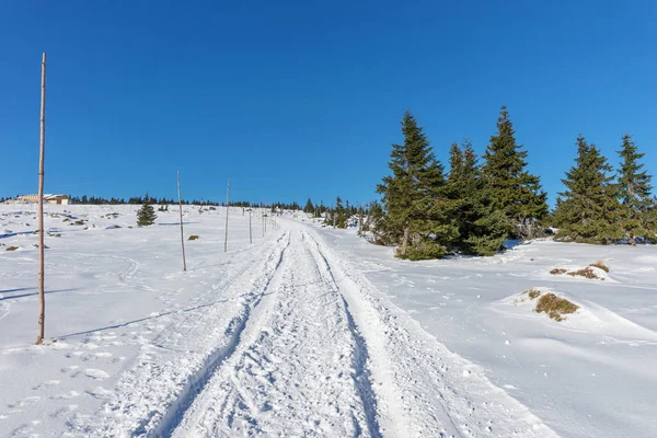 Prázdné zasněžené silnici v zimní krajině v Krkonoších — Stock fotografie