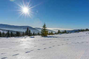 Karla kaplı dev Dağların üzerinden güneş parlıyor ile lens flare
