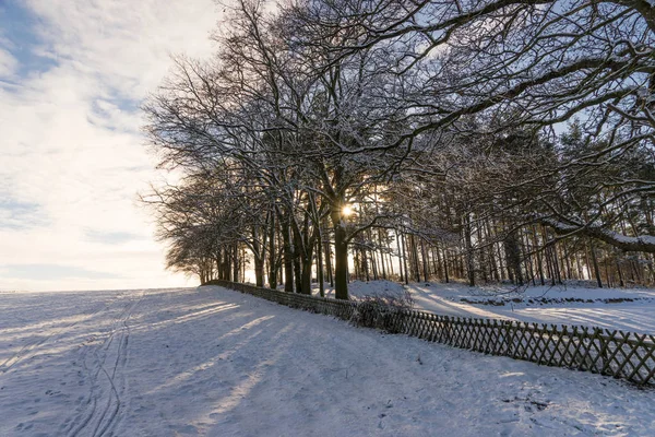 Blick auf eine Winterlandschaft mit Holzzaun — Stockfoto