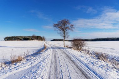 Kış yolda yalnız ağaç