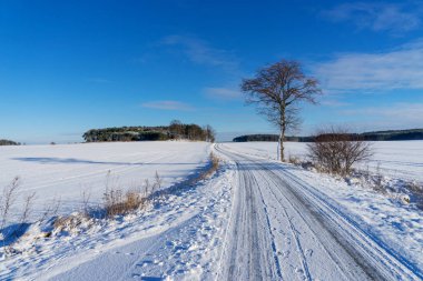 Kış yolda yalnız ağaç