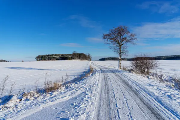 Kış yolda yalnız ağaç