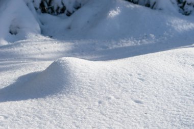 Güneşli bir günde güzel doğal Snowdrift