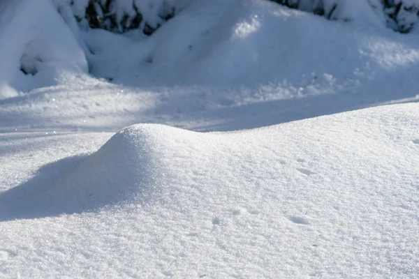 Красивий природний снігопад в сонячний день — стокове фото