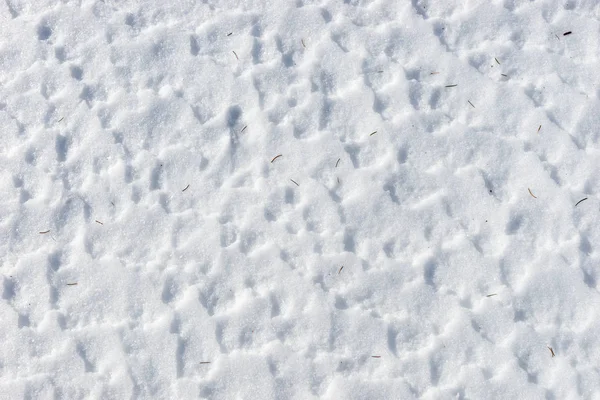 Close up of snow surface texture