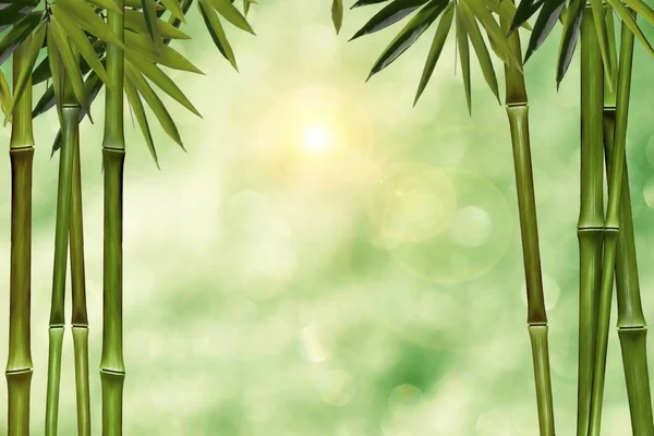 Blurred green background with palm trees as a framework — Stock Photo, Image