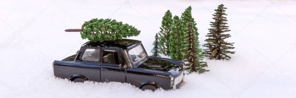 Car carrying a Christmas tree in miniature evergreen forest