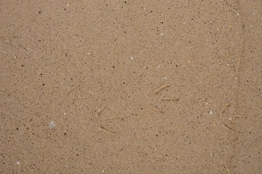 Küçük kuş izleri olan kum arka plan