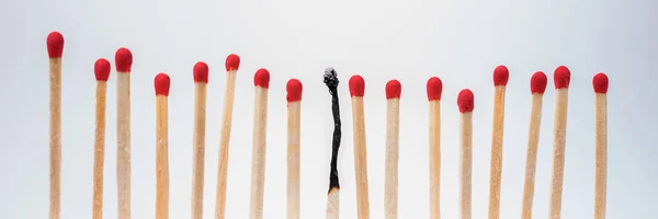 Burnt match between new matchsticks — Stock Photo, Image
