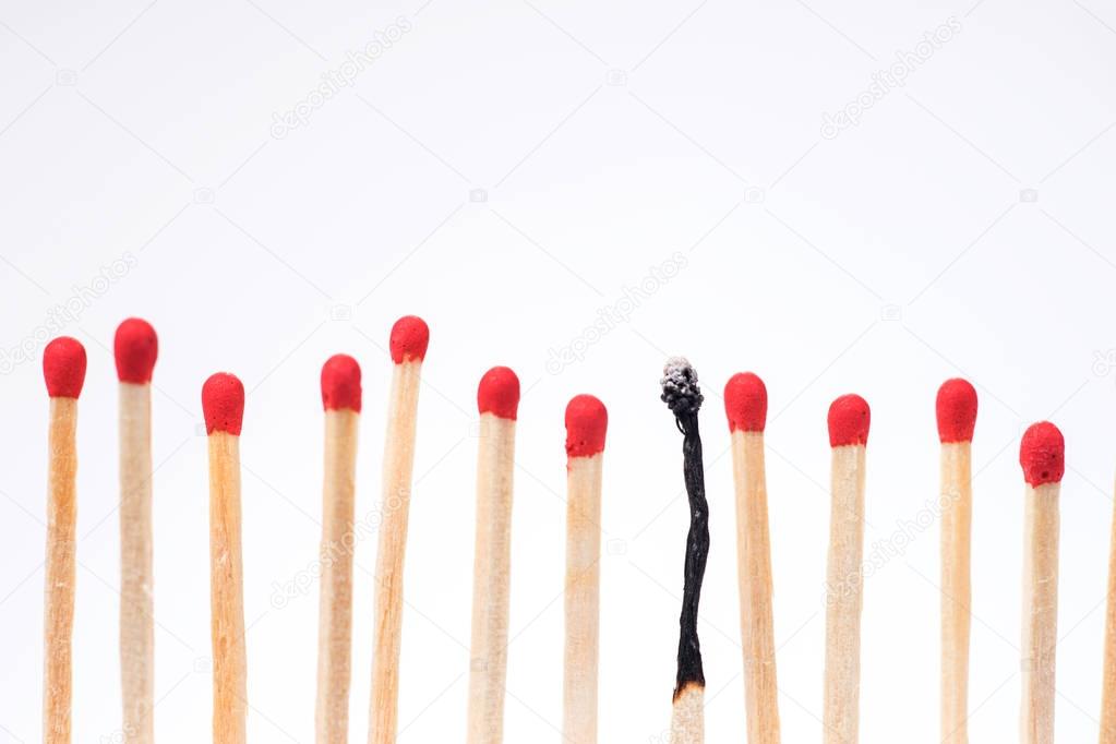 Burnt match between new matchsticks