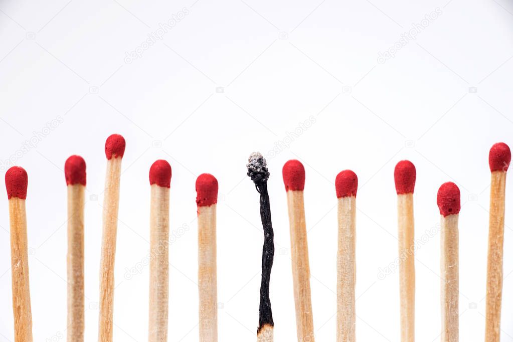 Burnt match between new matchsticks