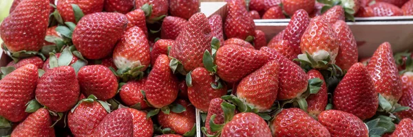 Färska jordgubbar i trälådan — Stockfoto