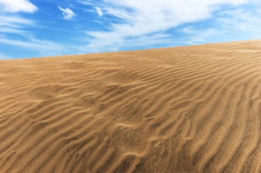 maspalomas çöl dunes kum
