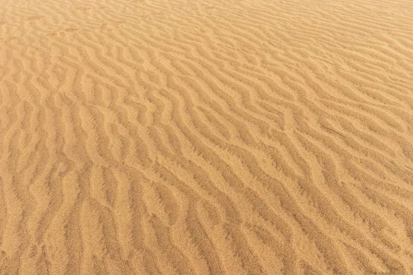 Desert dunes sand texture background in Maspalomas Gran Canaria Stock Image