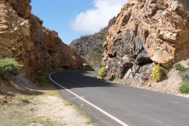 Gran Canaria dağlarda yolda