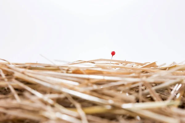 Красная иголка в стоге сена. — стоковое фото