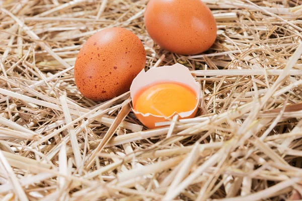 Kuřecí vejce v slámě s půl puklé vejce — Stock fotografie