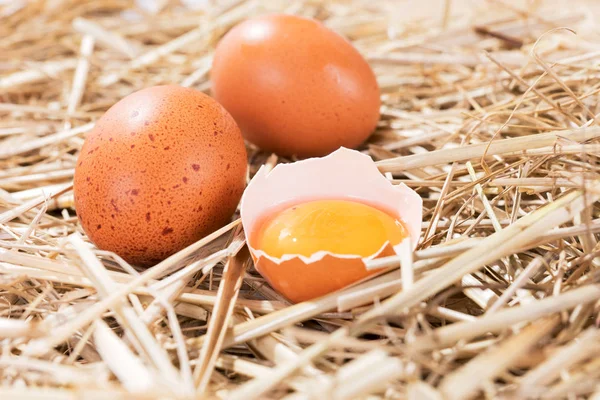 Uova di pollo nella paglia con mezzo uovo rotto — Foto Stock