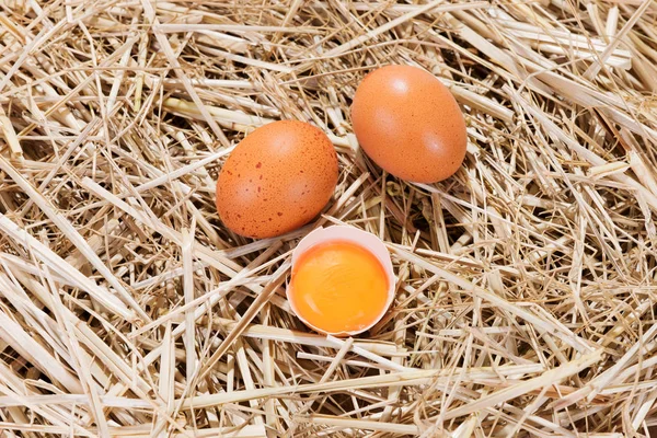 Chicken eggs in the straw with half a broken egg — Stock Photo, Image
