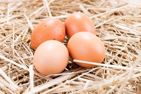 Čtyři hnědé slepičí vejce ve slámě — Stock fotografie