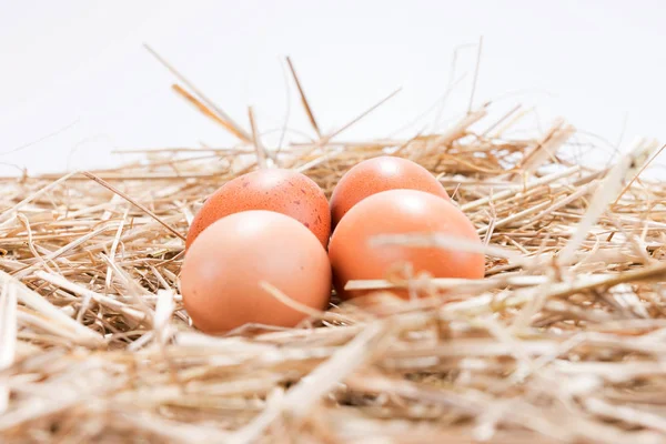 Quattro uova di pollo marroni nella paglia — Foto Stock