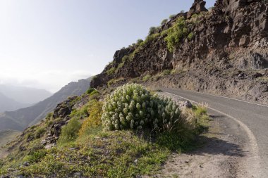 Gran Canaria ada Dağları aşarak dar yol