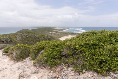 Manzaralı Pointe des Chateaux, Guadeloupe Fransız Adası en doğu noktası