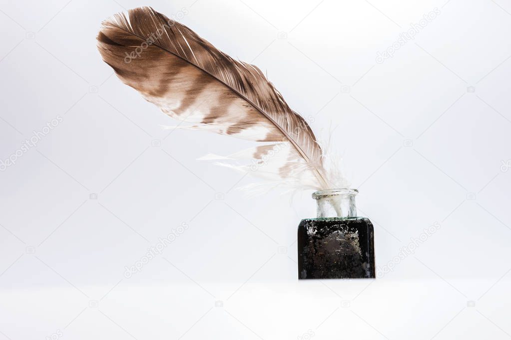 Old writing feather in the black ink pot
