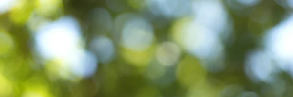Doğal yeşil bulanık ve bokeh arka plan — Stok fotoğraf