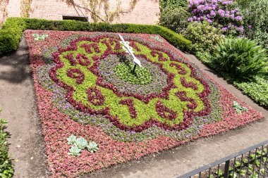 Parkta saat 12'de çiçek saat