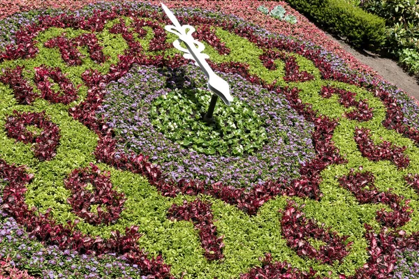 Horloge florale dans le parc à douze heures — Photo