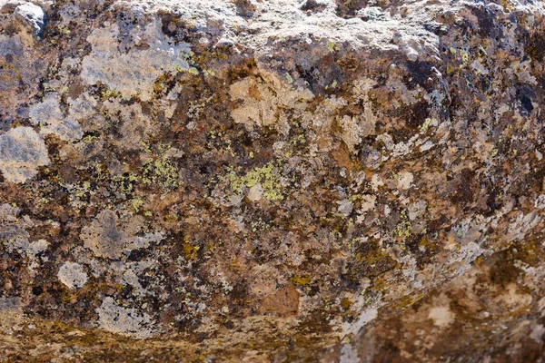 Granieten rots bedekt met korstmossen — Stockfoto