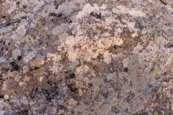 Rocha granítica coberta de líquen — Fotografia de Stock