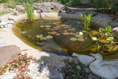 güzel klasik Bahçe balık pond