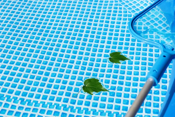 Листья плавающие в бассейне — стоковое фото