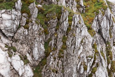 Taş duvar yosun yetişir