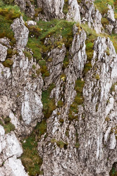 Taş duvar yosun yetişir