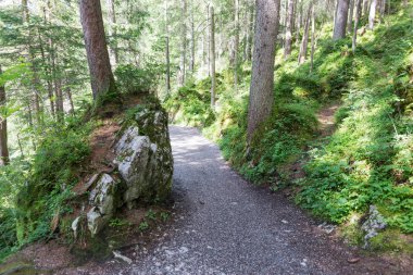 Hiking trail Eibsee çevresinde