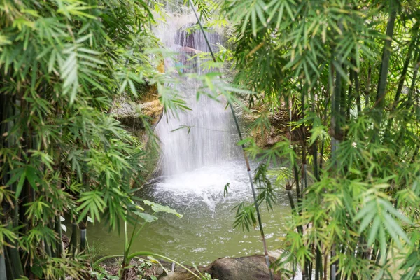 Exotiska vattenfall på rainforest natur — Stockfoto