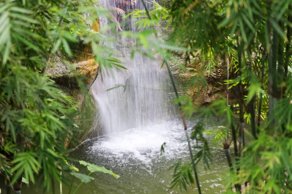 Exotiska vattenfall på rainforest natur — Stockfoto