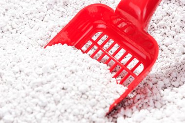 Kepçe kedi çöp kutu içinde çöp