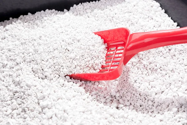 Kepçe kedi çöp kutu içinde çöp